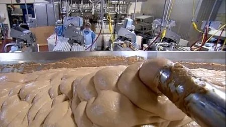 Ce se află în realitate într-un crenvurșt