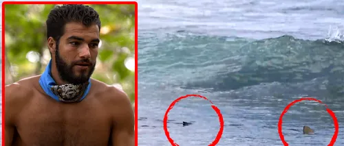 Survivor All Stars, în pericol! Un concurent a fost atacat de doi rechini, în timp ce înota