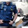 EXCLUSIV | Scuterul lui Mihai Pascu a fost abandonat în fața Brigăzii Rutiere din București, apoi acesta a fost dus într-o locație a poliției