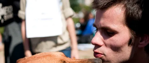 Oprescu: Iubitorii de animale să nu se impacienteze, deocamdată strângem câinii de pe străzi
