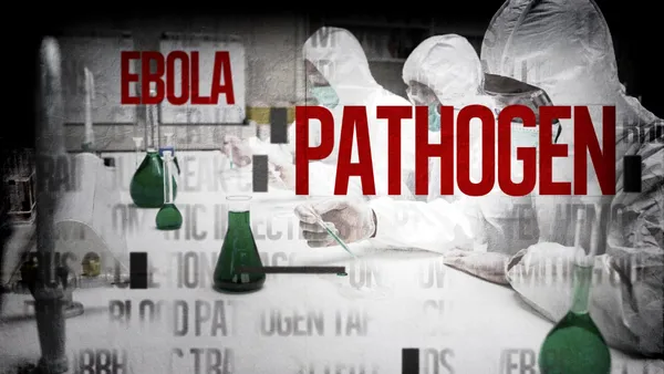 Alertă sanitară în Africa: Ebola face ravagii în Congo: peste 100 de morți și sute de cazuri suspecte. OMS declară urgență internațională