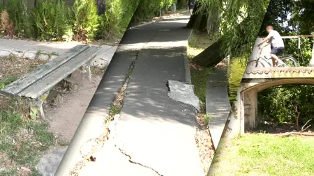 VIDEO EXCLUSIV | Parcul Herăstrău arată deplorabil. Cu zeci de terase și restaurante care plătesc chirii și redevențe, cel mai mare parc al României și un reper turistic al Bucureștiului a rămas tot în paragină 