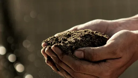 ITALIA. Român arestat în Italia pentru intermedierea și exploatarea conaționalilor