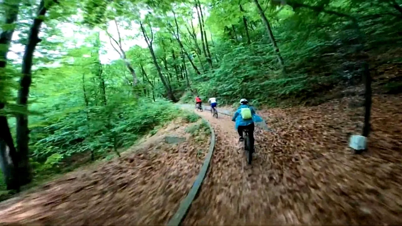 Pădurea-PARC din România pe care nu ai cum să o ratezi. Se află într-o celebră stațiune balneară