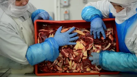 Anunțul Greciei care aruncă România înapoi în scandalul cărnii de cal