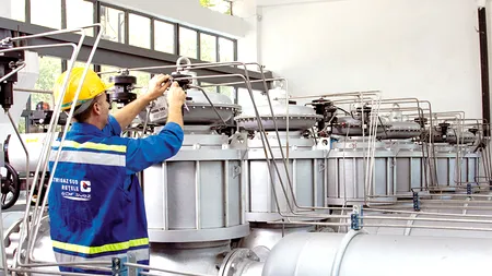 GDF SUEZ Energy România a vândut obligațiuni de 250 milioane lei