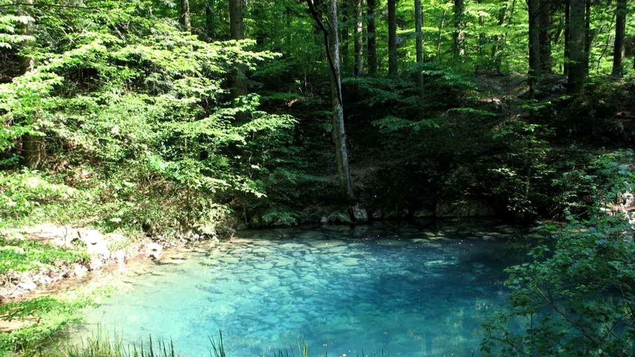 România, sub vizorul UNESCO pentru exploatarea neconformă a pădurilor de fag din Patrimoniul Mondial