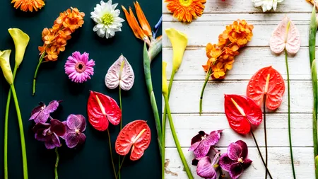 Află ce floare te reprezintă și cine e sufletul tău pereche, în funcție de luna în care te-ai născut. Ce spune zodiacul floral despre destinul tău