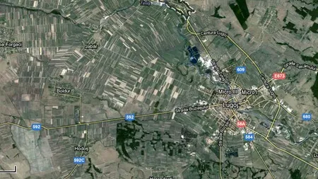 Descoperire arheologică importantă pe traseul autostrăzii Lugoj-Deva: 