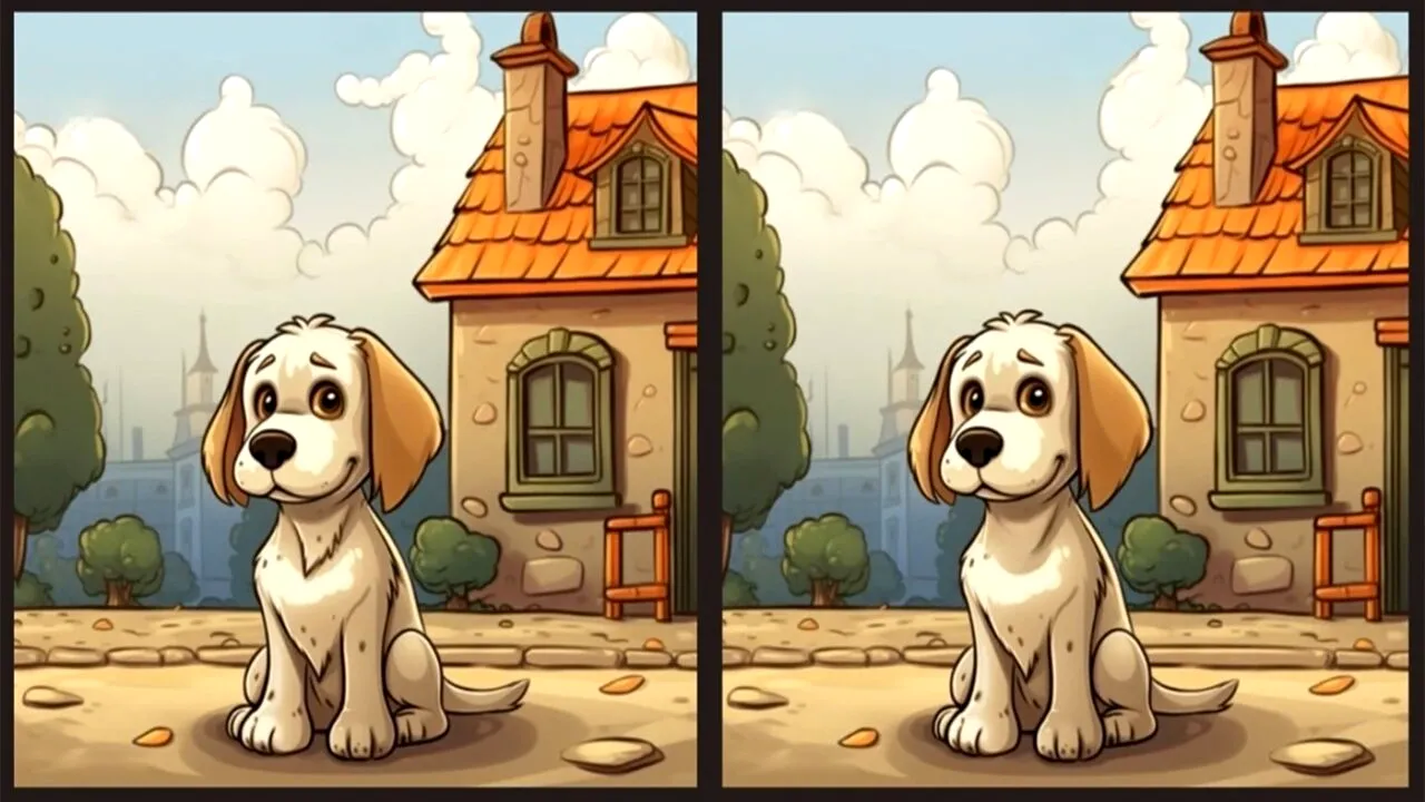 Test de LOGICĂ| Aceste două poze par identice, dar nu sunt. Câte diferențe puteți găsi în 23 de secunde?