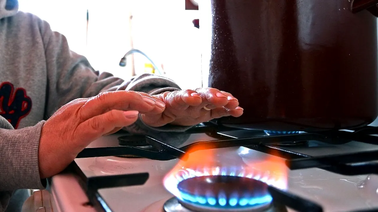 Oamenii de afaceri susțin supraimpozitarea producătorilor de gaze și electricitate