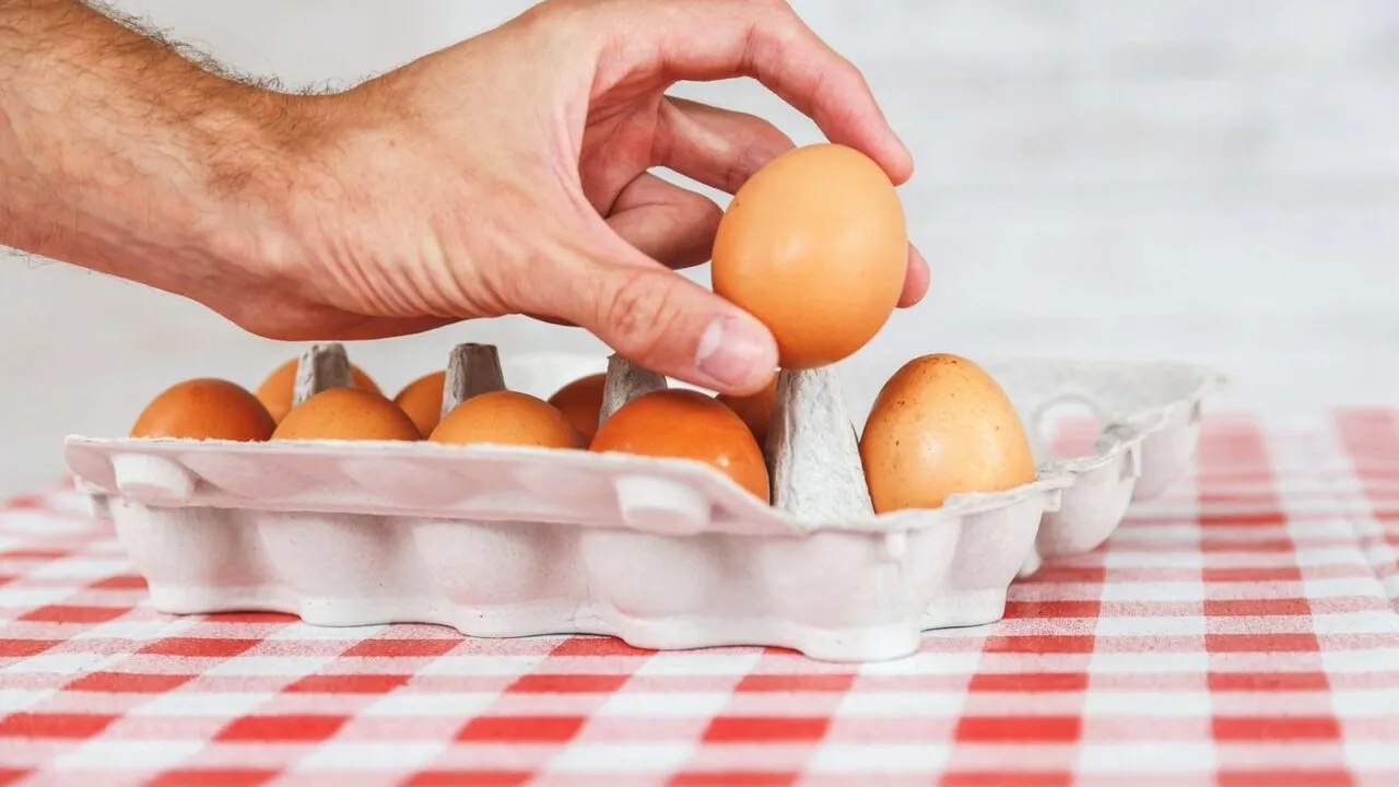 Experiment neobișnuit făcut de un student la Harvard. Ce s-a întâmplat în corpul său după ce a mâncat 720 de OUĂ într-o lună?