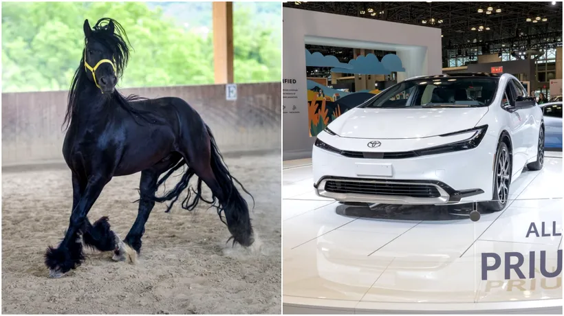 Prețul pe care îl are un cal de rasă pe OLX. Cu banii pentru o pereche îți poți lua Toyota Prius 2023