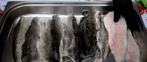 Peștele din Dunăre, periculos pentru sănătate. „Conține metale grele care pot provoca afecțiuni oncologice”