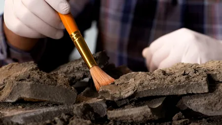 Trecutul aruncat pe câmp | Bucăți din cetatea antică Tomis, pe câmp. Arheolog: S-au distrus mărturii din istoria Constanței