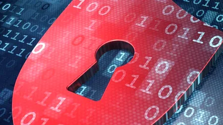 Una dintre cele mai mari companii de software din lume, INTERZISĂ în agențiile guvernamentale americane