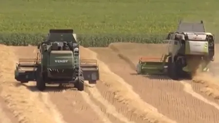 Deficit comercial de miliarde la produse alimentare. România exportă cereale și importă pâine