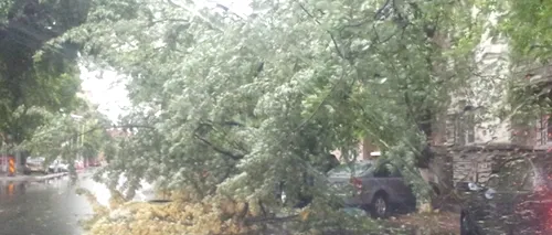 Un copac a căzut peste o mașină pe o stradă din Sectorul 1 al Capitalei