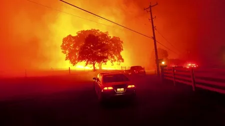 Alimentul la care trebuie să renunțăm pentru a combate încălzirea globală 