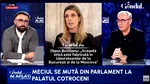 Scenariul exploziv dezvăluit de Doru Bușcu: Nicușor Dan e dispus să renunțe la USR/Nu mai e o obsesie personală pentru el
