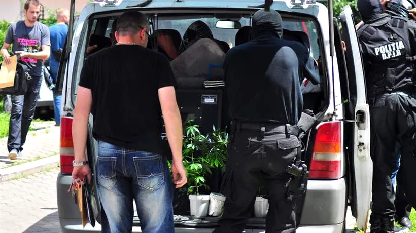 Tânăr din Timișoara, prins cu trei saci de canabis în portbagajul mașinii
