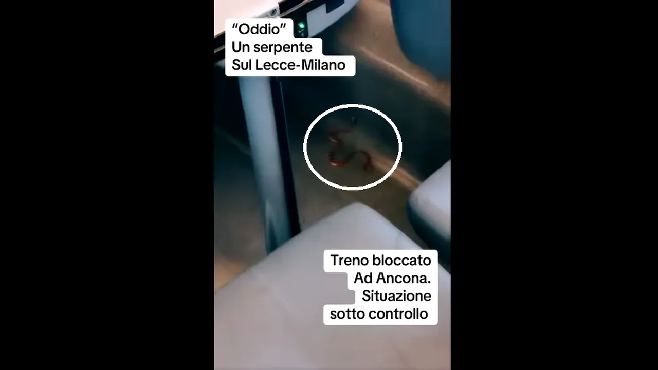 Au fost momente de panică la bordul unui tren de mare viteză din Italia, după ce într-unul dintre vagoane a fost descoperit un ȘARPE