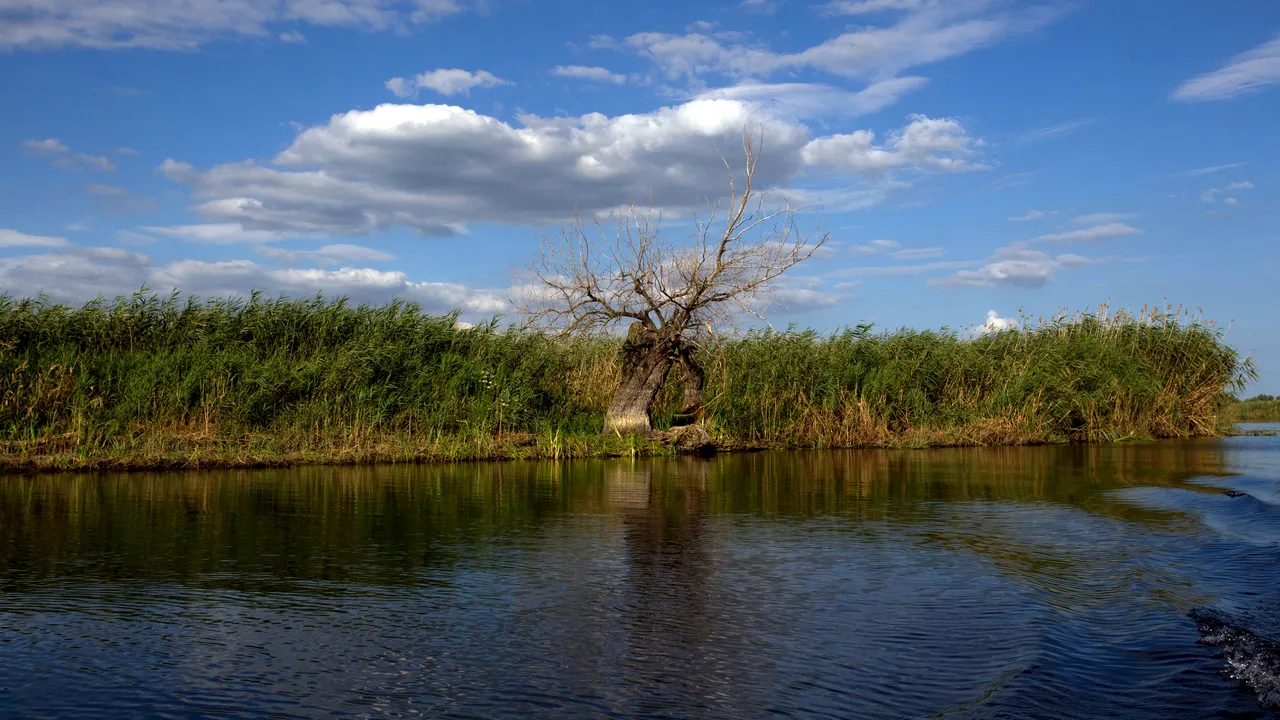 METEO. Cum va fi vremea marți și miercuri. Zona din România în care vor fi 29 de grade. Harta ANM