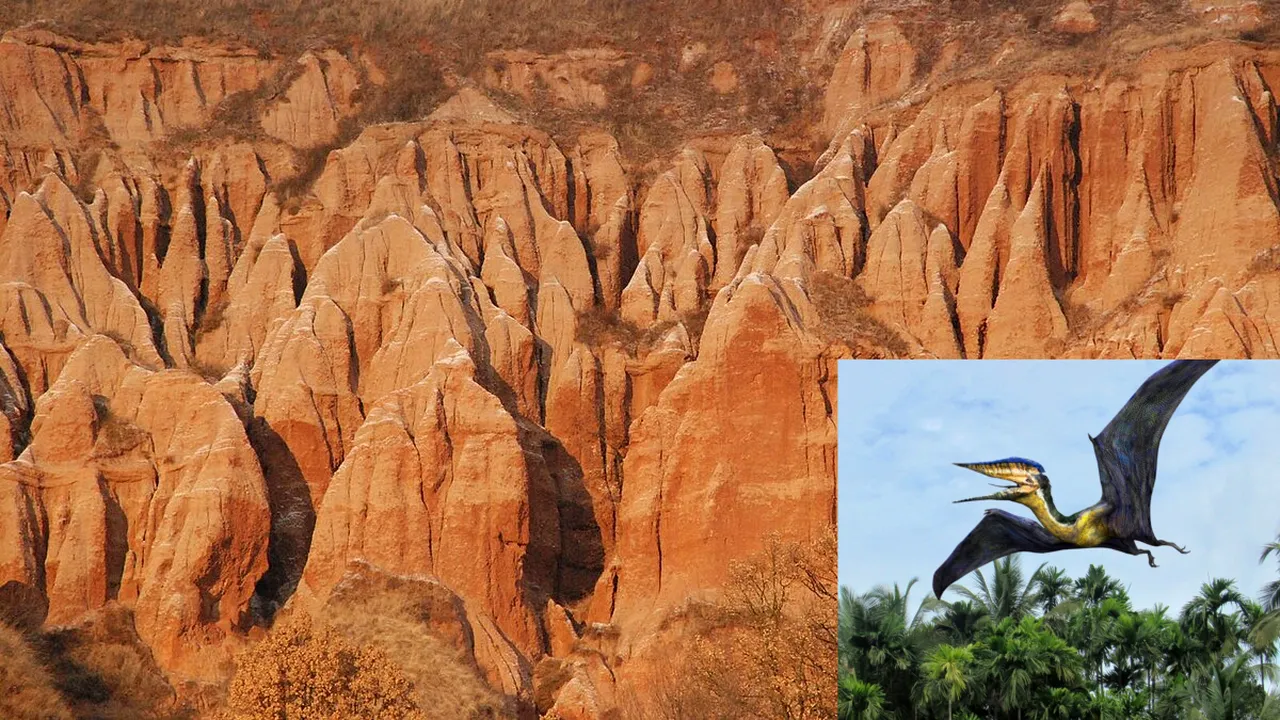 Rezervația naturală pe care o poți vizita cu ocazia Zilei Copilului. Aici au fost descoperite fosile de DINOZAURI