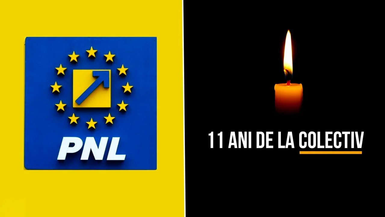 PNL, mesaj la 11 de ani de la 