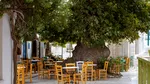Epidemiile de Salmonella din timpul verii stârnesc îngrijorări în Grecia, de la restaurante până la festivaluri