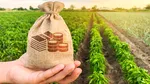 Sprijin de până la 200.000 de euro pentru o anumită categorie de fermieri. Ce presupune programul Agenției pentru Finanțarea Investițiilor Rurale