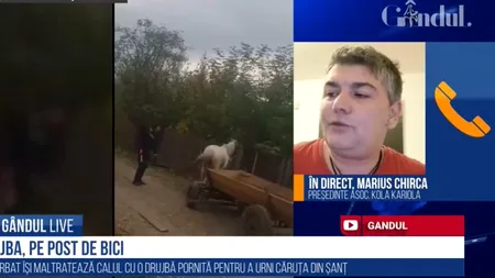 GÂNDUL LIVE. Cal chinuit cu o drujbă. Chirca, Kola Kariola: Cazurile de ucidere și maltratare a animalelor sunt din ce în ce mai numeroase. / Nu se lasă nici măcar cu o zi de arest - VIDEO