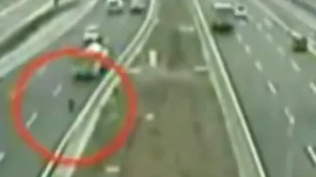 Probabil este unul dintre cele mai emoționante filmulețe din lume. Cum a reacționat un câine după ce prietenul său a fost lovit de mașină