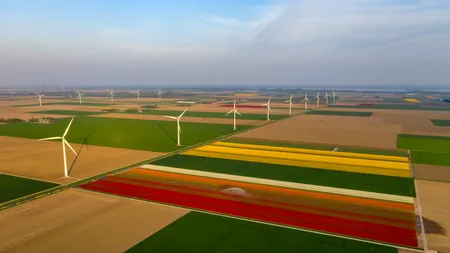 GALERIE FOTO: Câmpurile olandeze de lalele. Când a fost plantată prima lalea în această țară