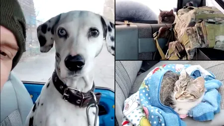 VIDEO | Două pisici și un cățel, salvați de un soldat ucrainean în Bahmut. „Aceasta este poate cea mai importantă diferență”