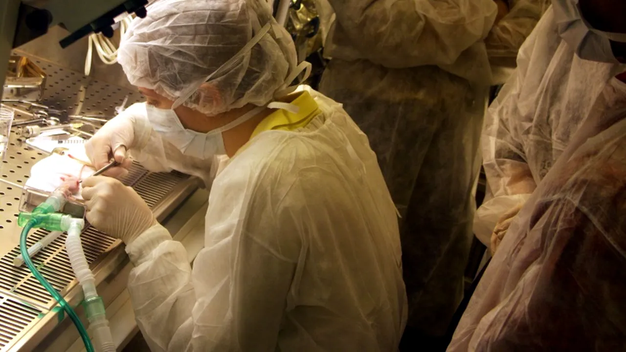 Descoperire alarmantă: Gena unei noi bacterii rezistente la antibiotice, identificată în China