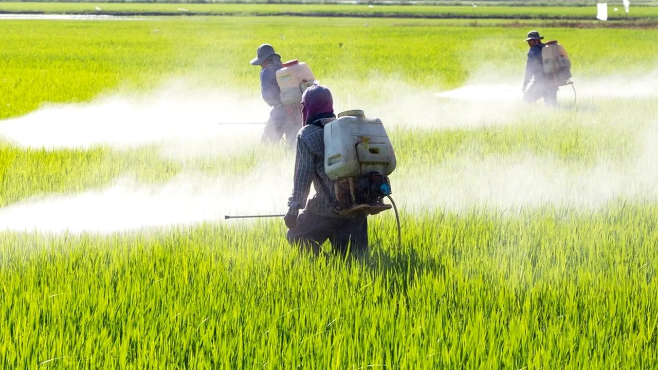 UE, decizie controversată: utilizarea erbicidul glifosat, despre care experți ONU spun că este 