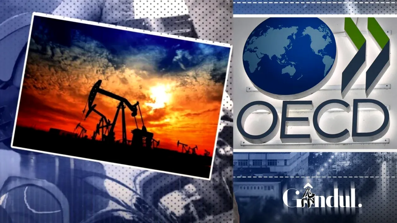 OCDE avertizează asupra unui 