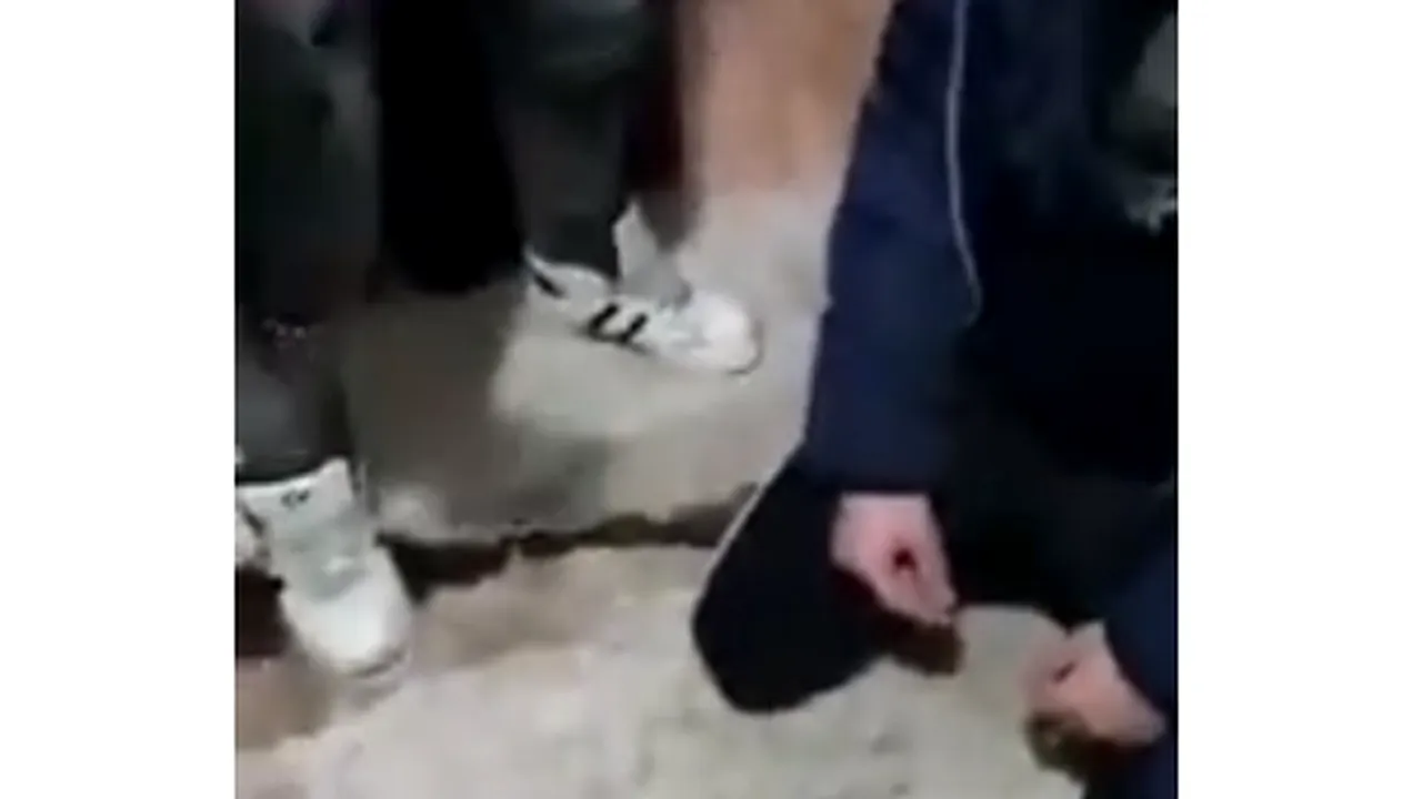 Cine e ȘMECHERUL TĂU? Umilit și bătut 