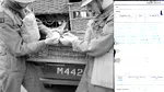 În 1942, un porumbel călător din timpul Celui de-al Doilea Război Mondial a dispărut cu un mesaj cifrat. 70 de ani mai târziu, constructorii i-au găsit rămășițele și biletul. Care era mesajul?
