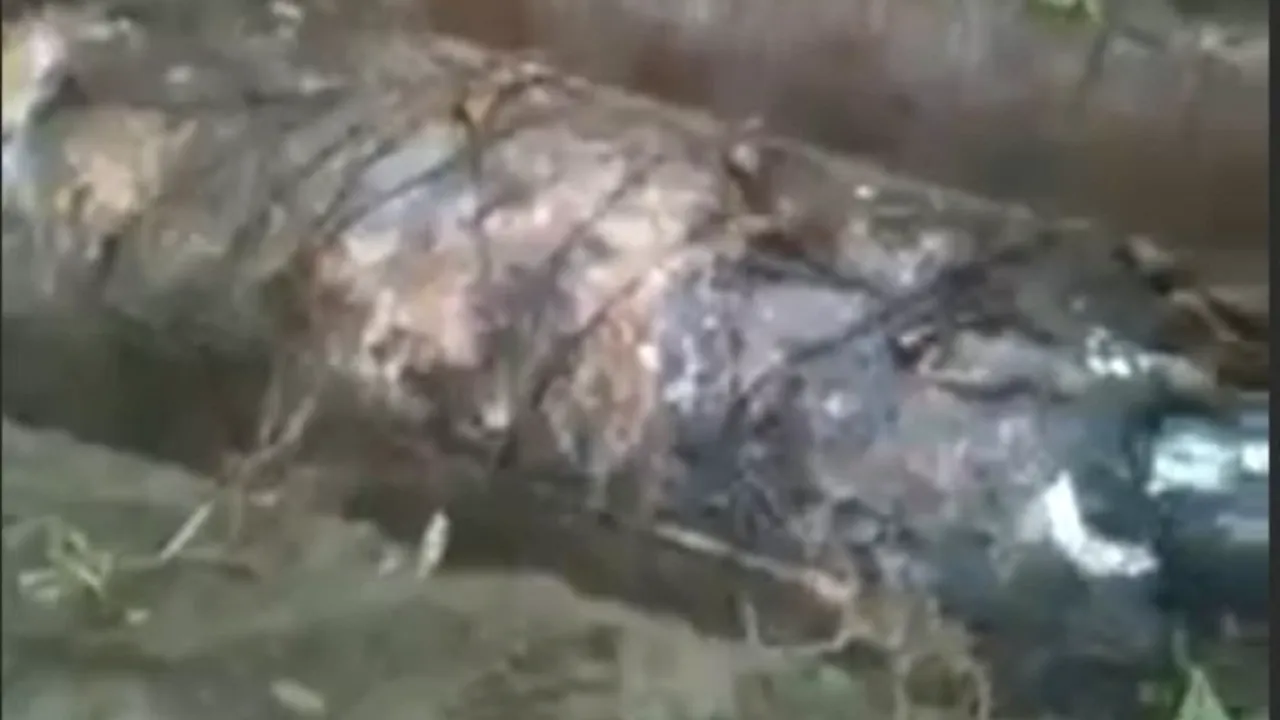 Au dezgropat un mort după 15 ani și au ÎNCREMENIT când au văzut ce e în sicriu 