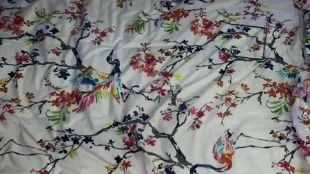 Test IQ | Iluzie optică aproape imposibil de rezolvat: Găsiți ochelarii pierduți în această imagine!