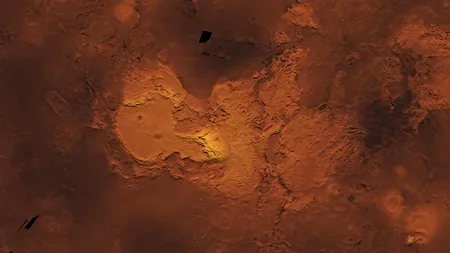 Specialiștii au descoperit 