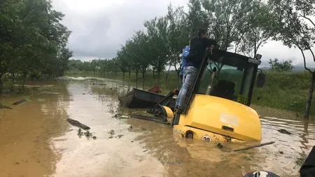 VIITURĂ. Trei adulți și cinci copii, evacuați din cauza inundațiilor din Timiș. Ploile fac prăpăd în întreaga țară - FOTO / VIDEO