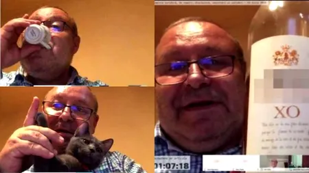 Răspunsul lui Daniel Fenechiu după ce a fost filmat cu o sticlă de coniac și o pisică, în pauza de la dezbaterile Legii carantinării: Relativ la prezența în imagini a pisicului meu Sasha, precizez că nu cred că aceasta a afectat in vreun fel buna funcționare a Comisiei, la sfârșit de ședință.