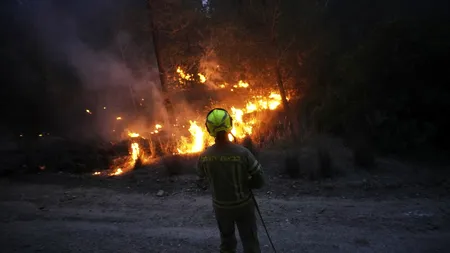 INCENDII puternice de vegetație în apropiere de Ierusalim. Autoritățile intervin pentru a stinge flăcările/România și alte țări ajută Israelul