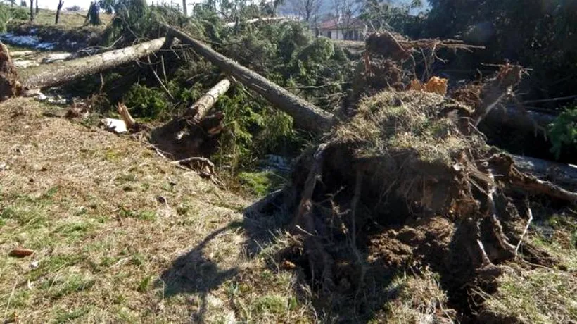 Oraș turistic bulgar, devastat de rafale puternice de vânt