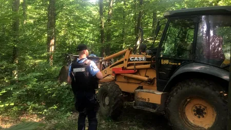 Incident cu final fericit: Un urs găsit prins într-un laț a fost eliberat în pădure - VIDEO