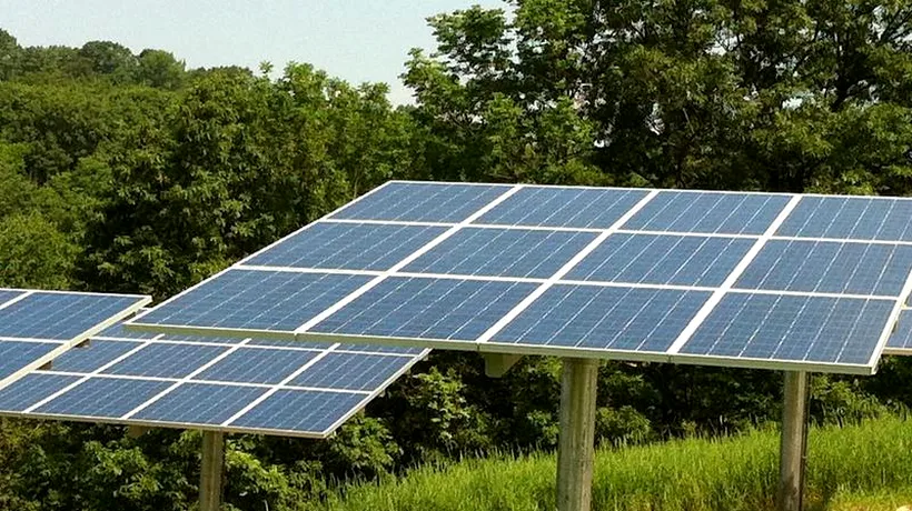 Samsung a devenit cel mai mare investitor în energie solară din România 