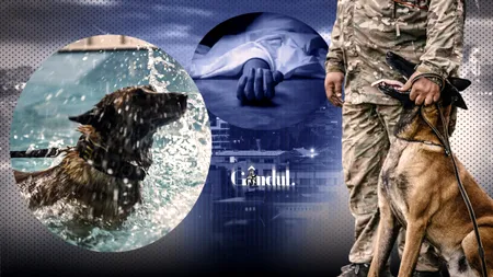 Tragedie într-o bază aeriană din România. Un militar de 30 de ani a murit după ce a încercat să salveze un câine. Cum s-a produs dezastrul